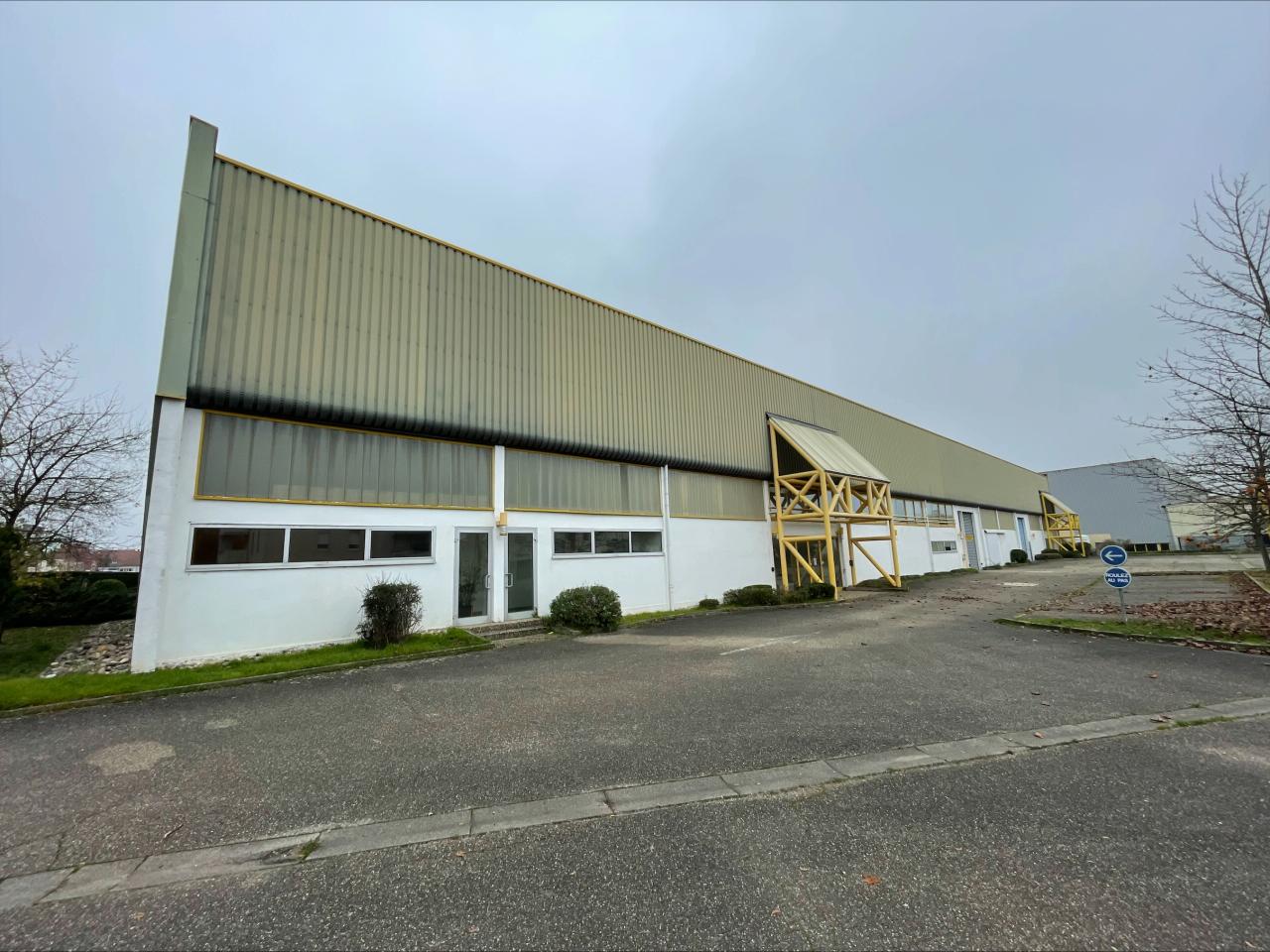 Local d'activité Obernai 2480m² Vente local d'activité Obernai Bas-Rhin OVACT2427485 0